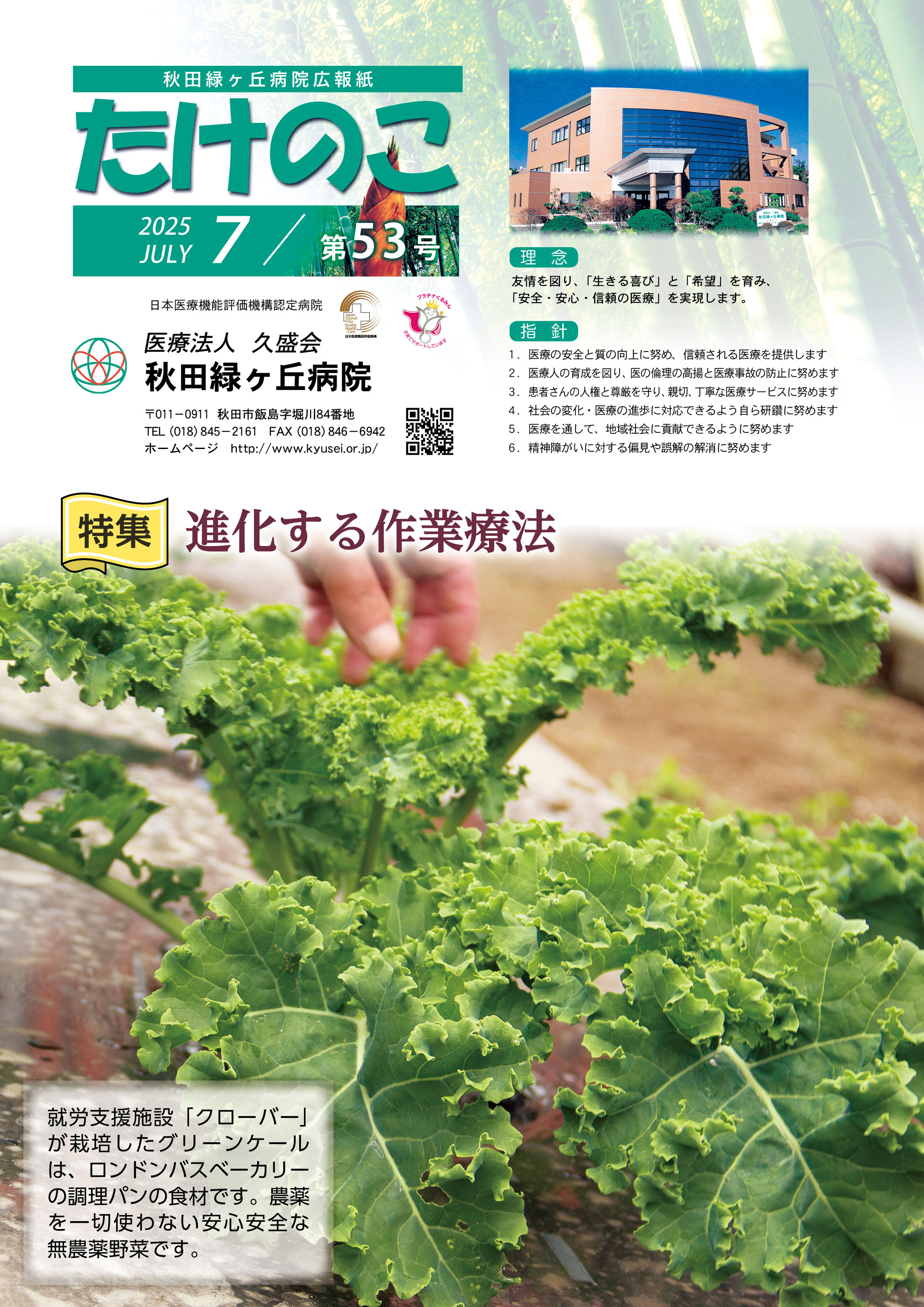 たけのこ第53号
